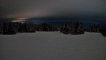 Homer Alaska Northern Lights Live Cam - Feb 14, 2026, 1:49am AKST