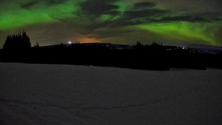 Homer Alaska Northern Lights Live Cam - Feb 22, 2026, 3:42am AKST
