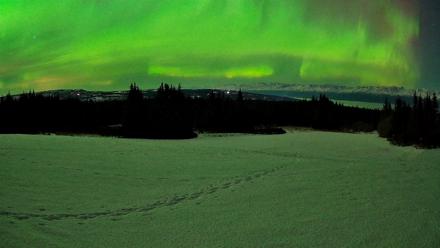 Homer Alaska Northern Lights Live Cam - Feb 21, 2026, 11:44pm AKST