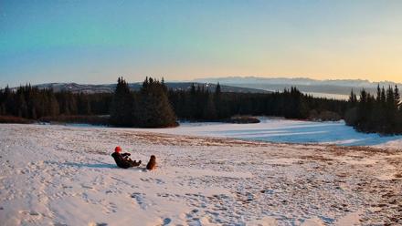 Homer Alaska Northern Lights Live Cam - Apr 1, 2026, 11:03pm AKDT