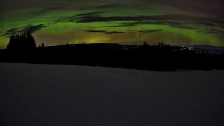 Homer Alaska Northern Lights Live Cam - Jan 24, 2026, 12:10am AKST
