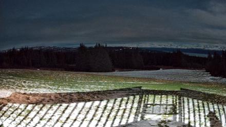 Homer Alaska Northern Lights Live Cam - Dec 1, 2025, 8:09pm AKST