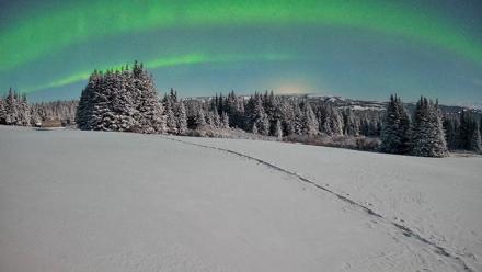 Homer Alaska Northern Lights Live Cam - Jan 8, 2026, 3:35am AKST