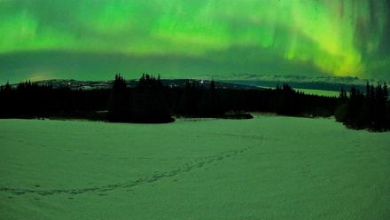 Homer Alaska Northern Lights Live Cam - Feb 22, 2026, 1:58am AKST
