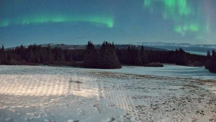 Homer Alaska Northern Lights Live Cam - Apr 1, 2026, 11:44pm AKDT