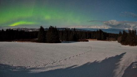 Homer Alaska Northern Lights Live Cam - Feb 25, 2026, 1:57am AKST