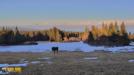 Homer Alaska Northern Lights Live Cam - Apr 10, 2026, 8:13pm AKDT