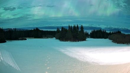 Homer Alaska Northern Lights Live Cam - Jan 20, 2026, 2:01am AKST