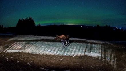 Homer Alaska Northern Lights Live Cam - Dec 11, 2025, 9:51pm AKST