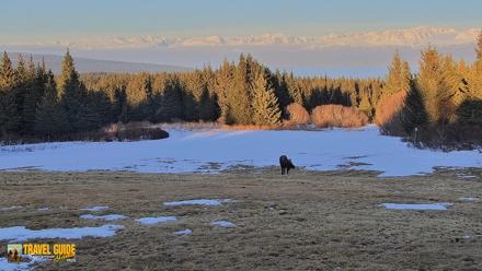 Homer Alaska Northern Lights Live Cam - Apr 10, 2026, 8:11pm AKDT