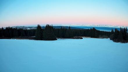 Homer Alaska Northern Lights Live Cam - Feb 27, 2026, 6:30pm AKST