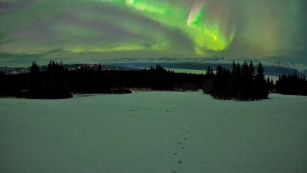 Homer Alaska Northern Lights Live Cam - Jan 20, 2026, 10:06pm AKST