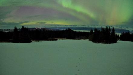 Homer Alaska Northern Lights Live Cam - Jan 20, 2026, 10:02pm AKST