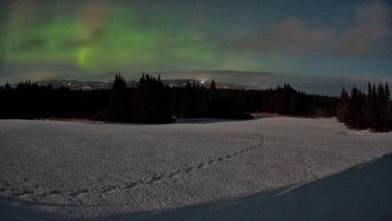 Homer Alaska Northern Lights Live Cam - Feb 24, 2026, 1:46am AKST