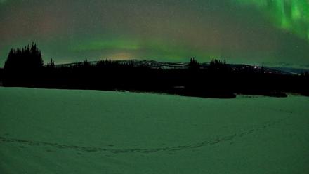 Homer Alaska Northern Lights Live Cam - Feb 22, 2026, 1:54am AKST