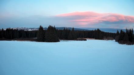 Homer Alaska Northern Lights Live Cam - Feb 19, 2026, 6:08pm AKST