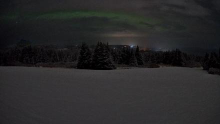 Homer Alaska Northern Lights Live Cam - Feb 10, 2026, 11:45pm AKST