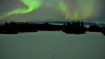 Homer Alaska Northern Lights Live Cam - Jan 20, 2026, 10:20pm AKST