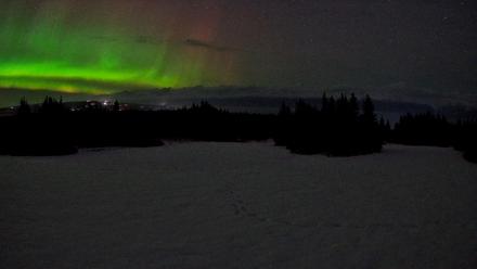 Homer Alaska Northern Lights Live Cam - Feb 16, 2026, 1:20am AKST