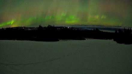 Homer Alaska Northern Lights Live Cam - Feb 22, 2026, 12:38am AKST