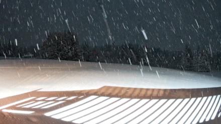 Homer Alaska Northern Lights Live Cam - Jan 27, 2026, 6:48pm AKST