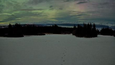 Homer Alaska Northern Lights Live Cam - Jan 21, 2026, 2:38am AKST