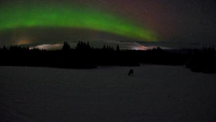 Homer Alaska Northern Lights Live Cam - Feb 19, 2026, 3:27am AKST