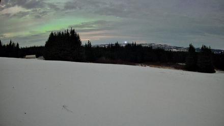 Homer Alaska Northern Lights Live Cam - Jan 20, 2026, 1:20am AKST