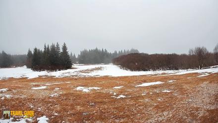 Homer Alaska Northern Lights Live Cam - Apr 10, 2026, 12:24pm AKDT