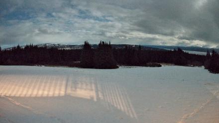 Homer Alaska Northern Lights Live Cam - Feb 1, 2026, 9:39pm AKST