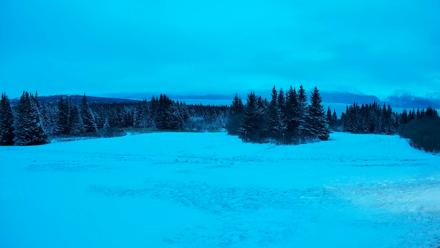 Homer Alaska Northern Lights Live Cam - Dec 27, 2025, 9:22am AKST