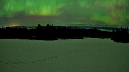 Homer Alaska Northern Lights Live Cam - Feb 22, 2026, 2:09am AKST