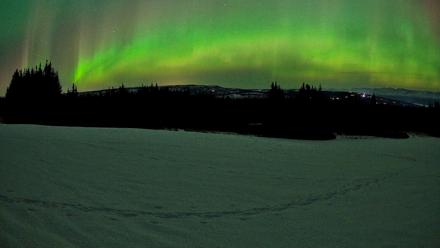 Homer Alaska Northern Lights Live Cam - Feb 22, 2026, 12:42am AKST