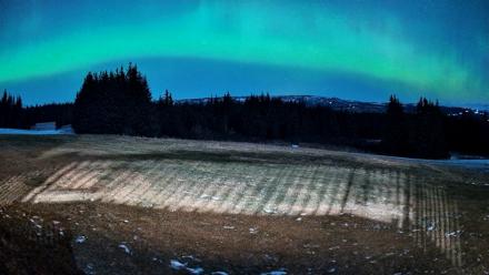 Homer Alaska Northern Lights Live Cam - Dec 12, 2025, 6:59am AKST