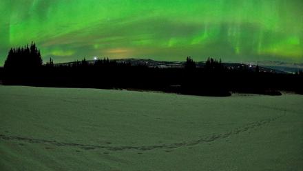 Homer Alaska Northern Lights Live Cam - Feb 21, 2026, 11:39pm AKST