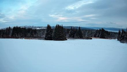 Homer Alaska Northern Lights Live Cam - Feb 11, 2026, 5:35pm AKST