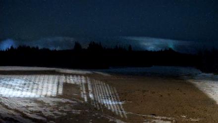 Homer Alaska Northern Lights Live Cam - Feb 8, 2026, 10:30pm AKST