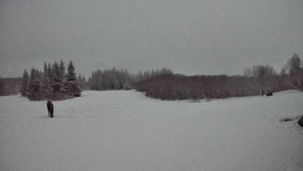 Homer Alaska Northern Lights Live Cam - Jan 6, 2026, 1:05am AKST