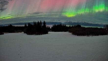 Homer Alaska Northern Lights Live Cam - Jan 20, 2026, 3:07am AKST
