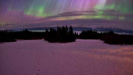 Homer Alaska Northern Lights Live Cam - Jan 20, 2026, 7:08am AKST