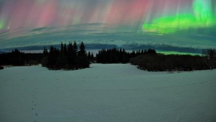 Homer Alaska Northern Lights Live Cam - Jan 20, 2026, 3:20am AKST