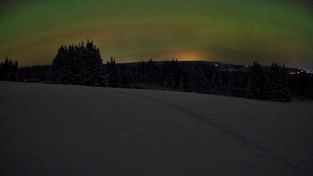 Homer Alaska Northern Lights Live Cam - Jan 7, 2026, 10:24pm AKST