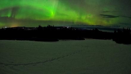 Homer Alaska Northern Lights Live Cam - Feb 22, 2026, 6:47am AKST