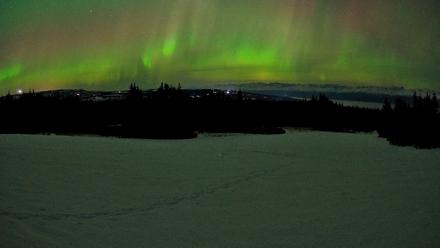 Homer Alaska Northern Lights Live Cam - Feb 22, 2026, 12:38am AKST