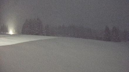 Homer Alaska Northern Lights Live Cam - Jan 6, 2026, 10:06pm AKST