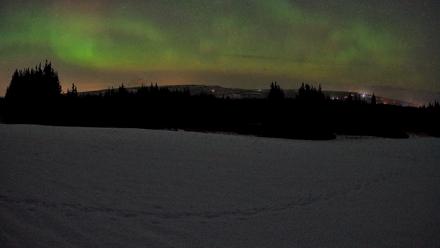 Homer Alaska Northern Lights Live Cam - Feb 24, 2026, 4:07am AKST