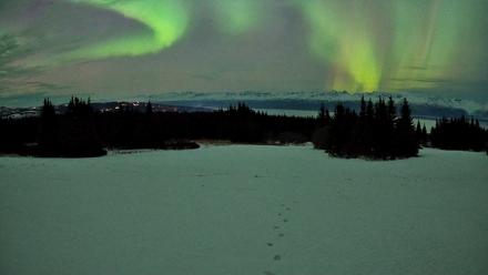 Homer Alaska Northern Lights Live Cam - Jan 20, 2026, 10:25pm AKST
