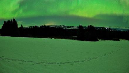 Homer Alaska Northern Lights Live Cam - Feb 22, 2026, 2:02am AKST