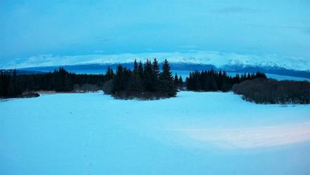 Homer Alaska Northern Lights Live Cam - Jan 17, 2026, 5:37pm AKST