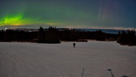 Homer Alaska Northern Lights Live Cam - Mar 23, 2026, 10:17pm AKDT